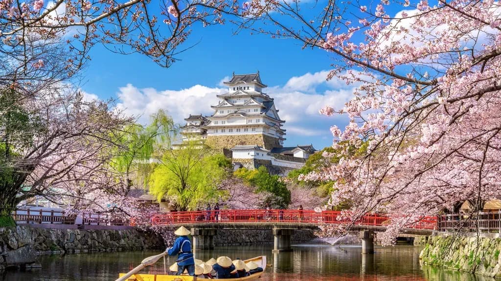 8 Common Mistakes First-Time Travelers Make in Japan