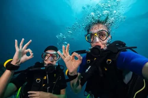 Scuba Diving in Vietnam: Best Places, Costs, Tips & When to Go (2026 Guide)